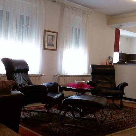 Apartment Krsmanovic Aranđelovac Exteriér fotografie